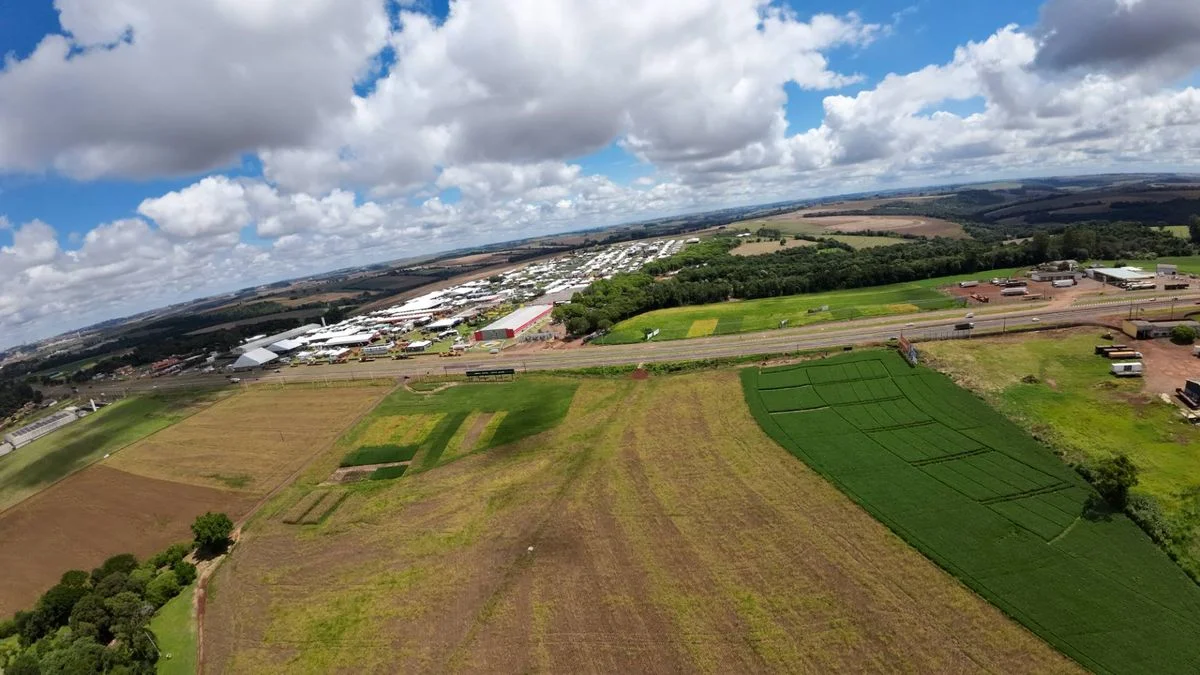 Industrial à Venda - Cascavel