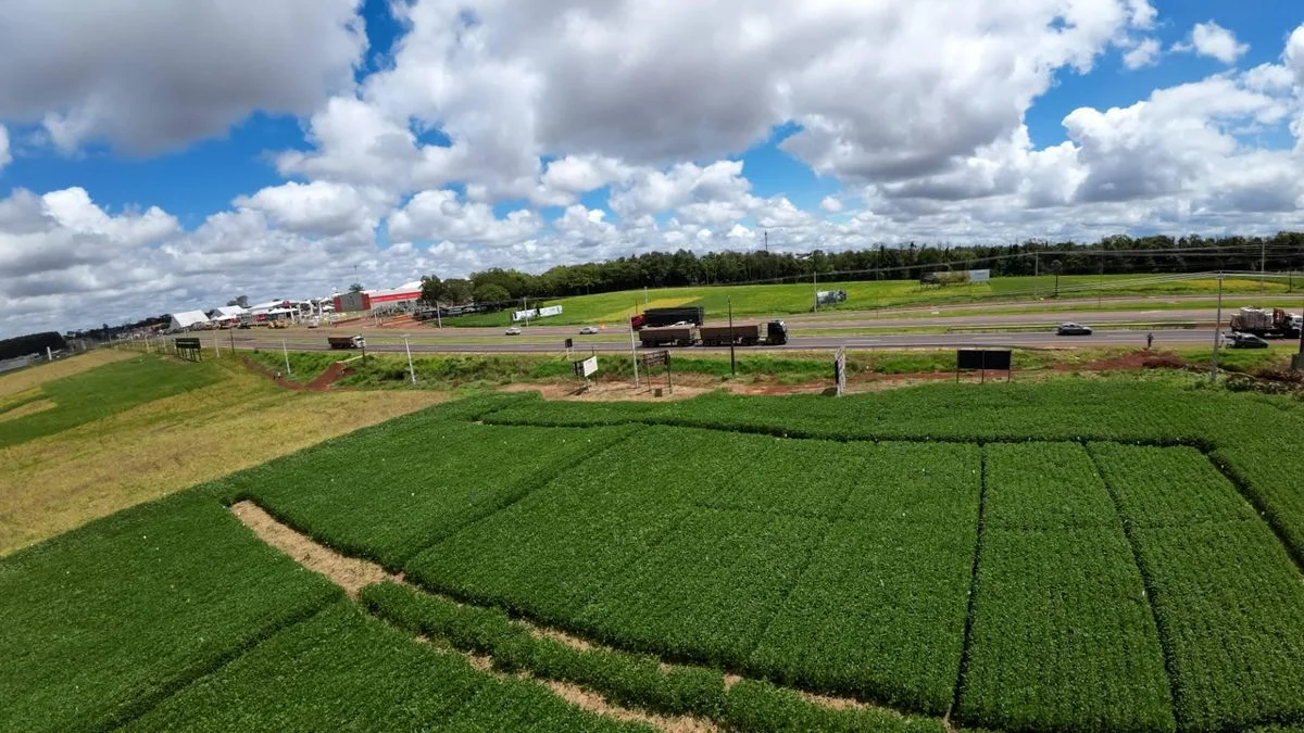 Industrial à Venda - Cascavel