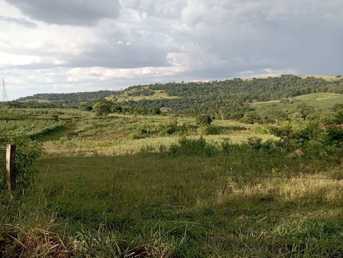 Chácara à Venda - Santa Helena