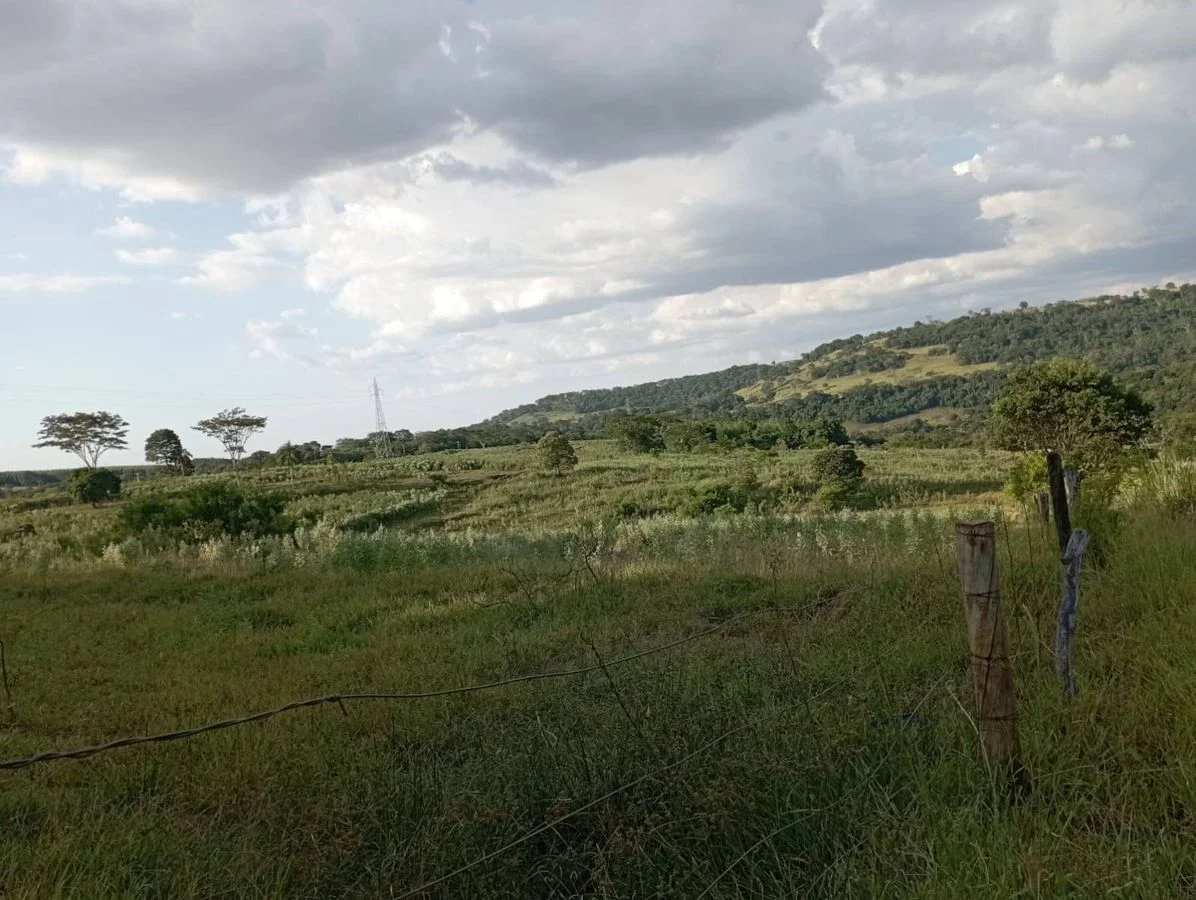 Chácara à Venda - Santa Helena