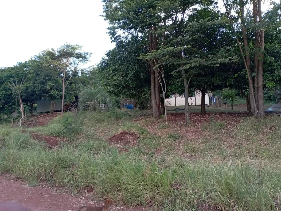 Chácara à Venda - Santa Helena