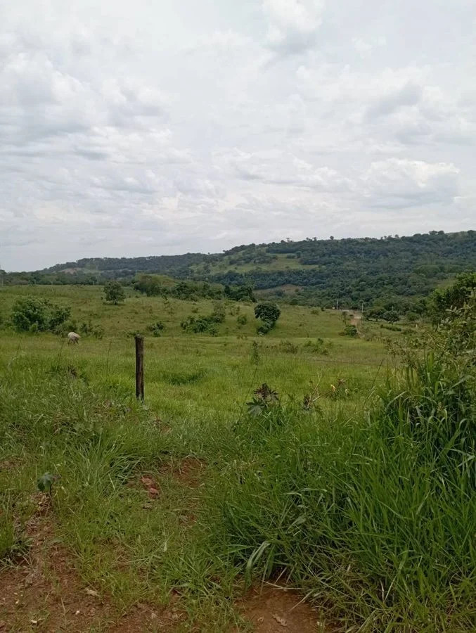 Chácara à Venda - Santa Helena