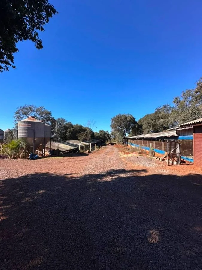 Área rural com GRANJA DE SUÍNOS 1,8 Alqueires