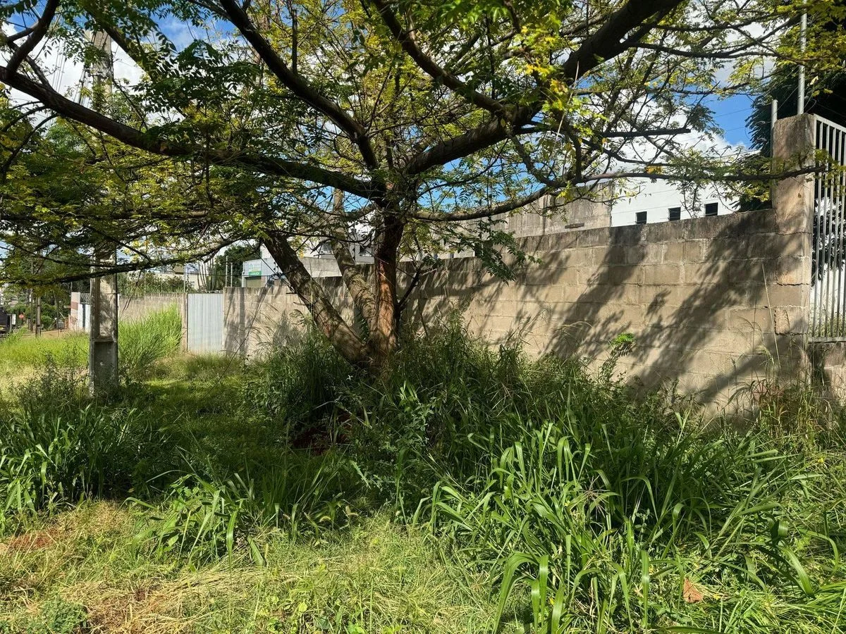 Comercial à Venda, Cancelli - Cascavel