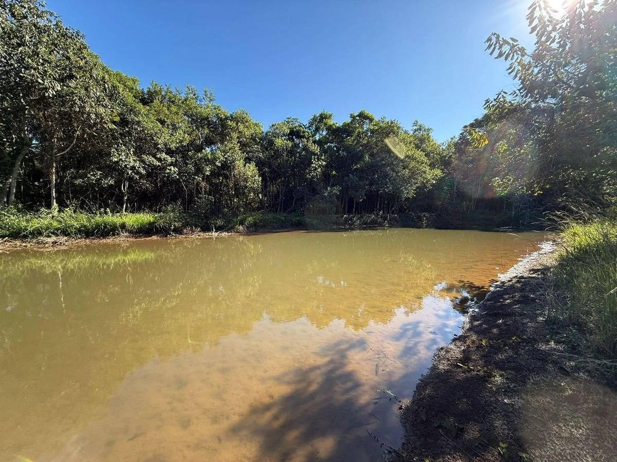 Chácara à Venda - Cascavel
