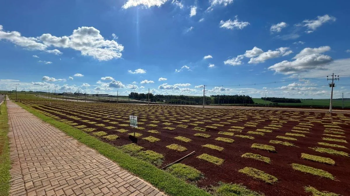 Loteamentos à Venda, Brazmadeira - Cascavel