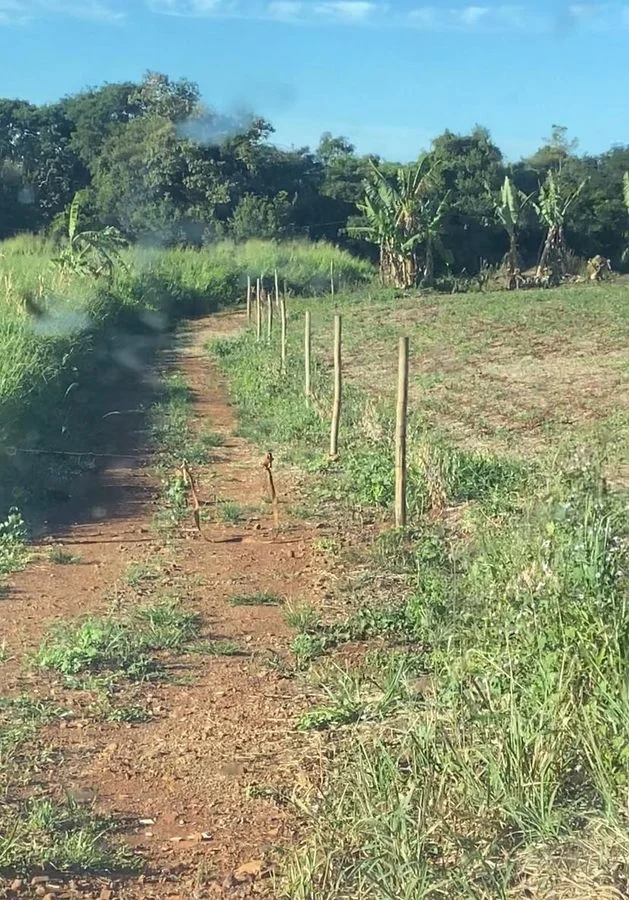 Aréa Rural na Linha São Roque (1 ALQUEIRE MECANIZADO)