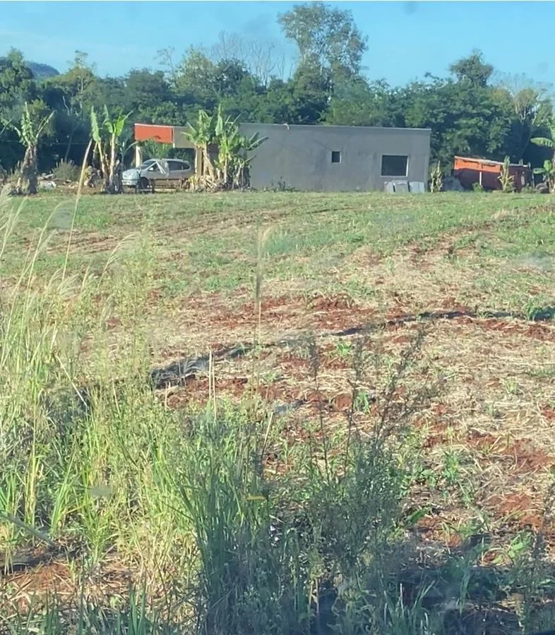 Aréa Rural na Linha São Roque (1 ALQUEIRE MECANIZADO)