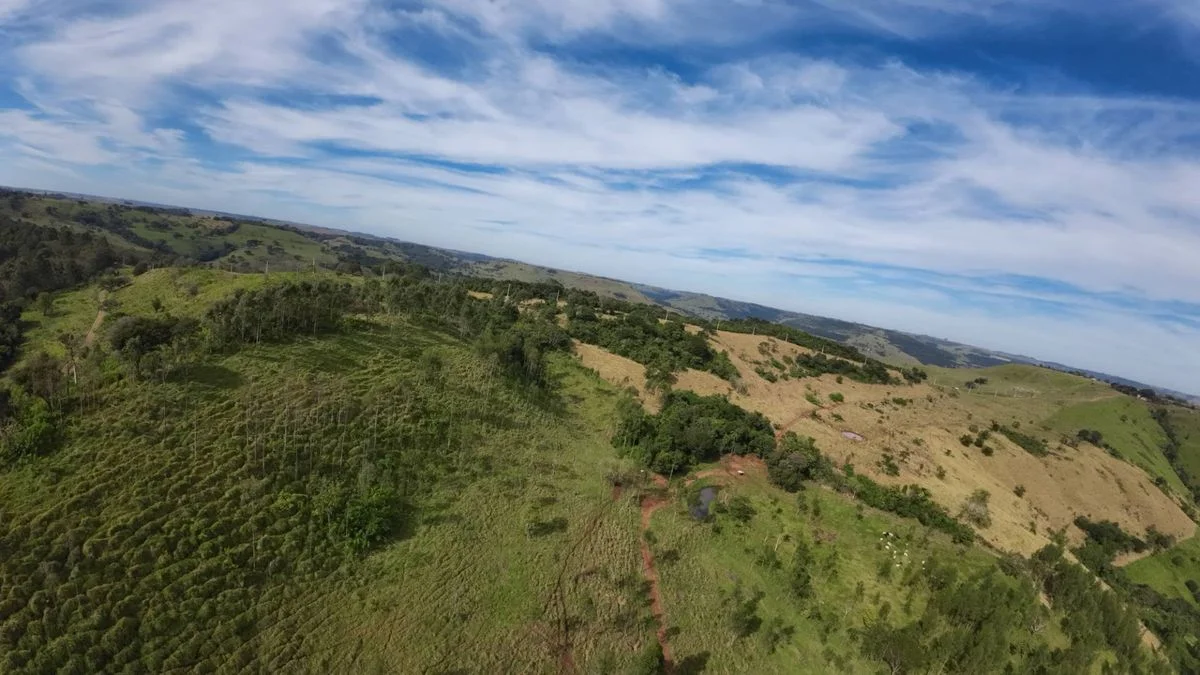 Fazenda à Venda, Área Rural de Cascavel - Cascavel