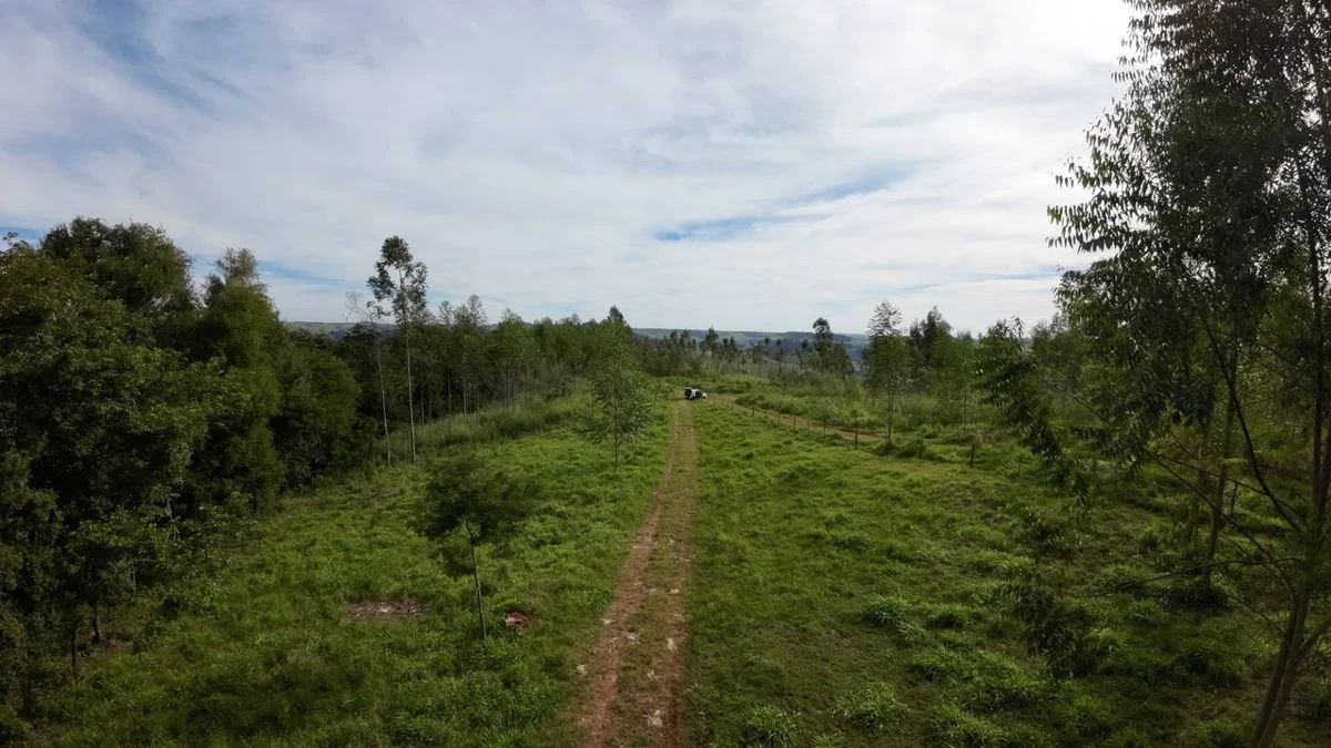 Fazenda à Venda, Área Rural de Cascavel - Cascavel