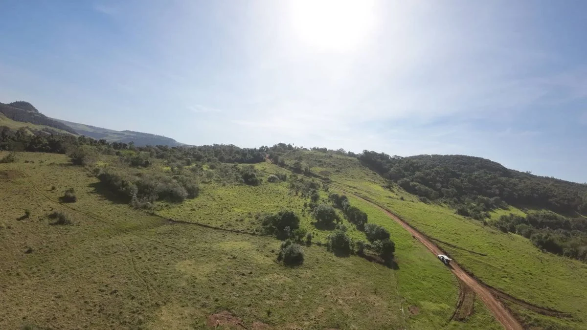 Fazenda à Venda, Área Rural de Cascavel - Cascavel