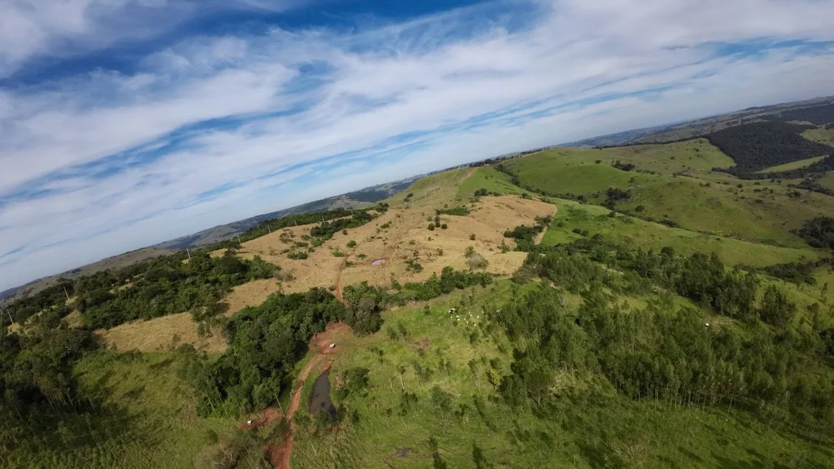 Sítio à Venda, Área Rural de Cascavel - Cascavel