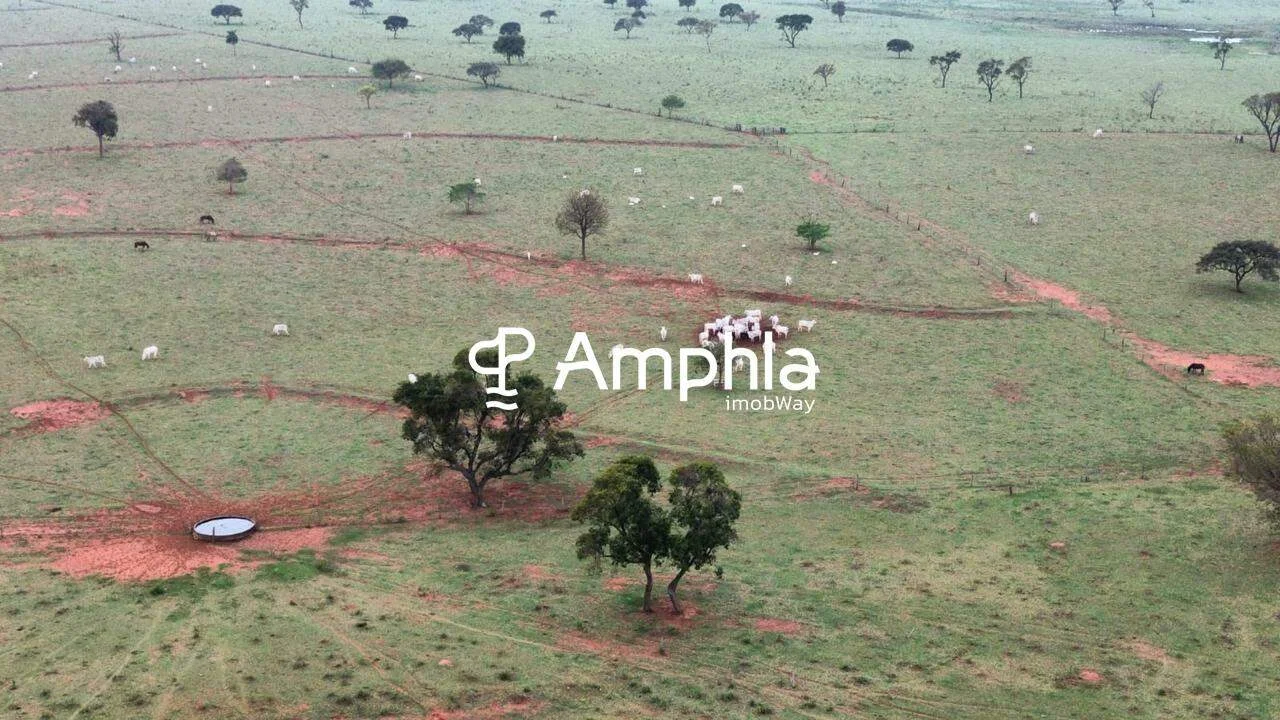 Fazenda de 885 hectares à venda - Amambai, MS