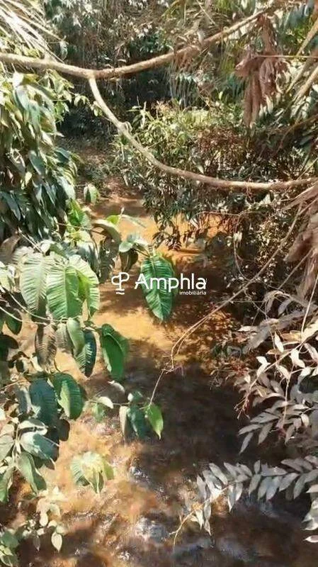 Oportunidade em Santa Rita do Trivelato - MT Area Rural
