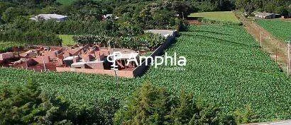 Área Rural do Lado de Toledo 6000 m²