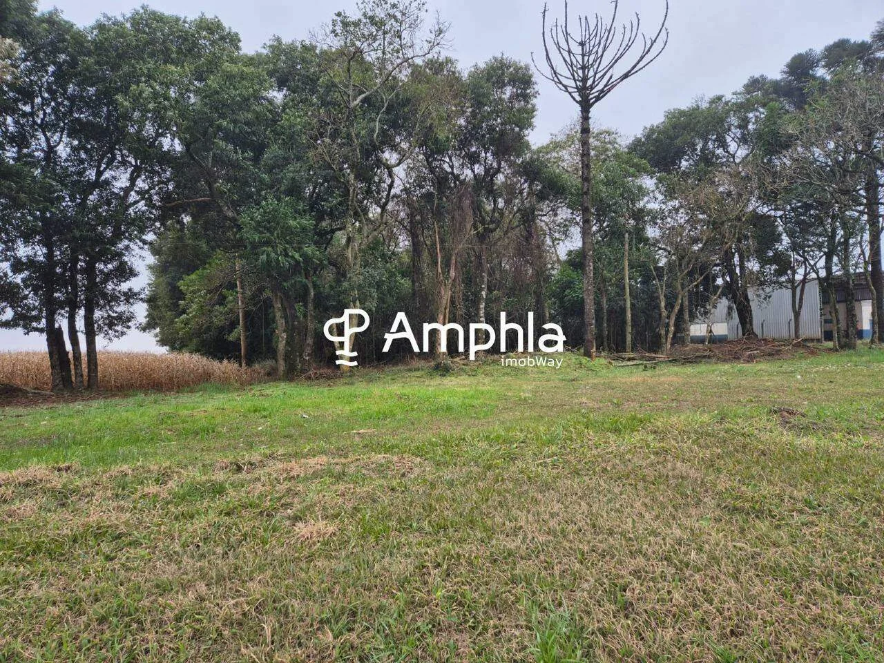 Terreno à venda, 26.744 m² - BR 277 KM 573,2
