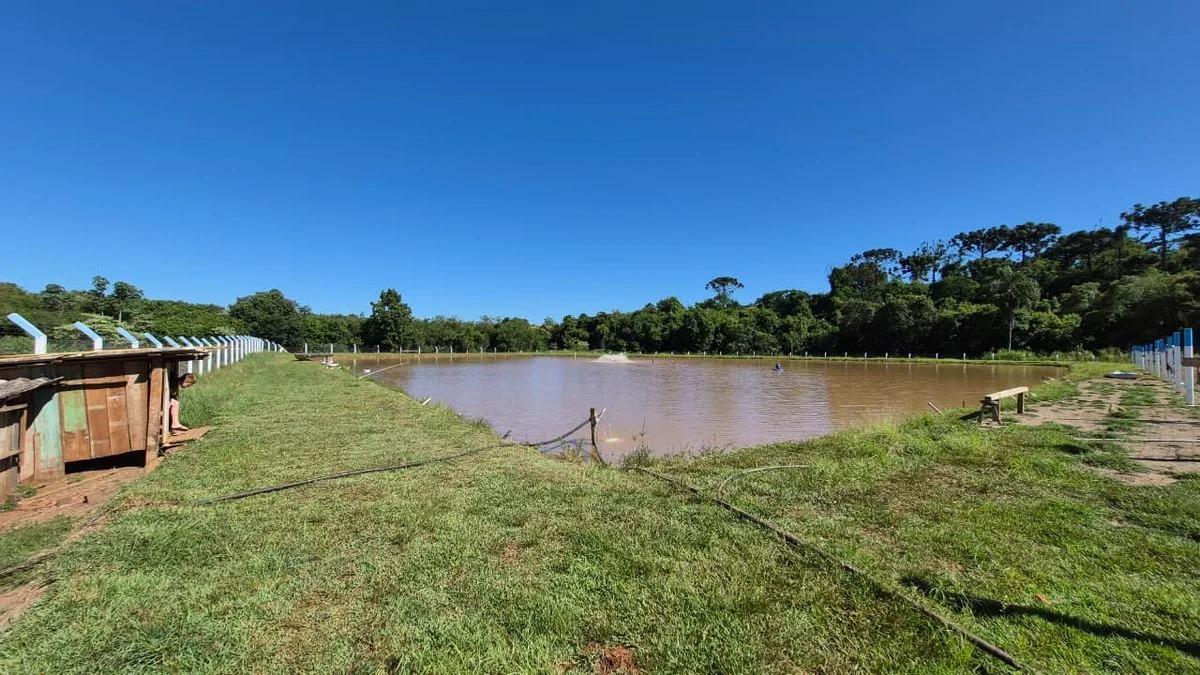 Chácara à Venda - Cascavel