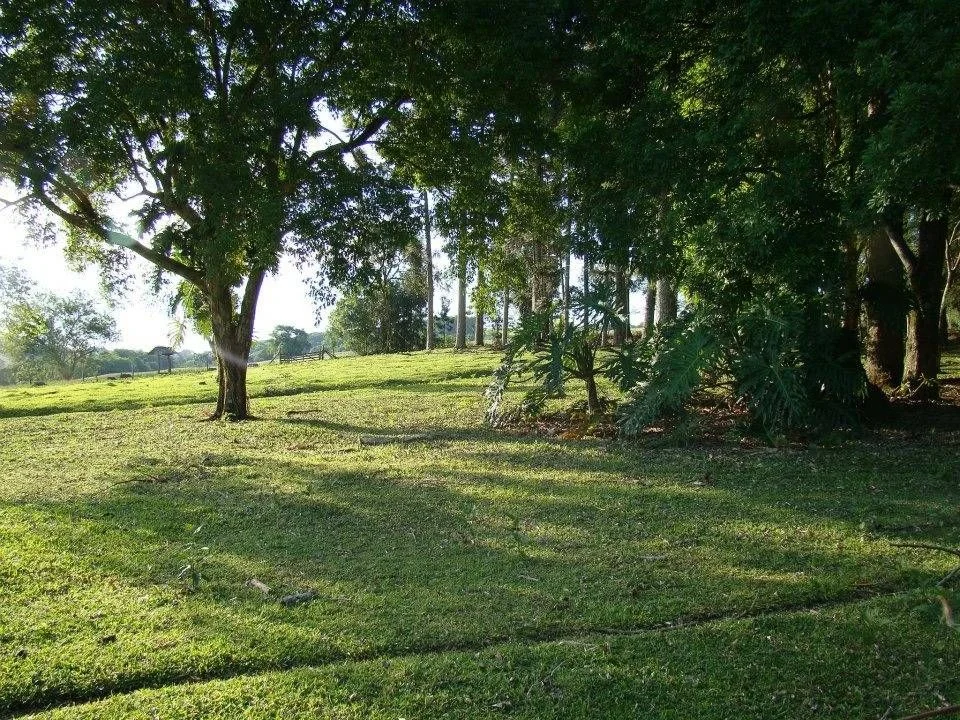 Chácara à Venda - Cascavel