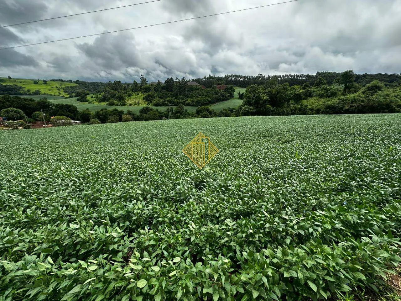 Chácara Rural à venda em Cascavel (Bairro São Salvador) — 84.700 m², aceita permuta