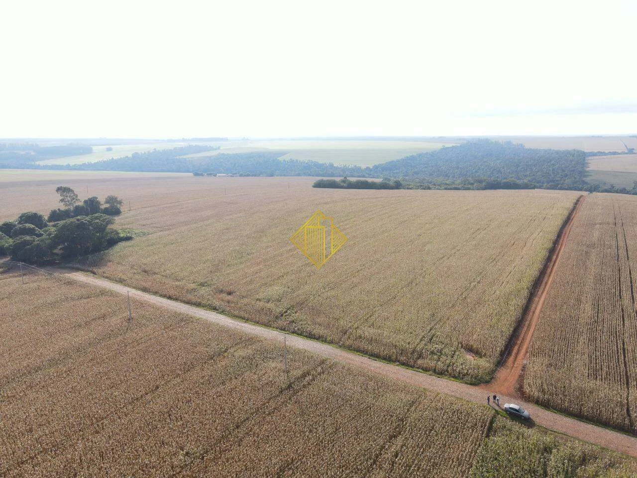 ***AREA RURAL A VENDA, COM RIO NO FUNDOS, MARIPÁ - PR***