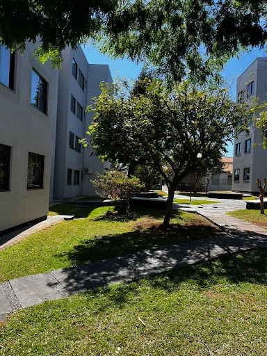 Apartamento com 3 dormitórios à venda, 59 m² por R$ 300.000,00 - Tropical  - Cascavel/PR