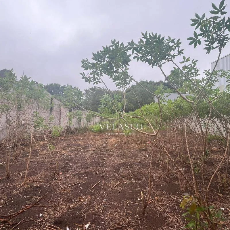 Terreno à venda, 375 m² por R$ 489.000,00 - Centro - Cascavel/PR