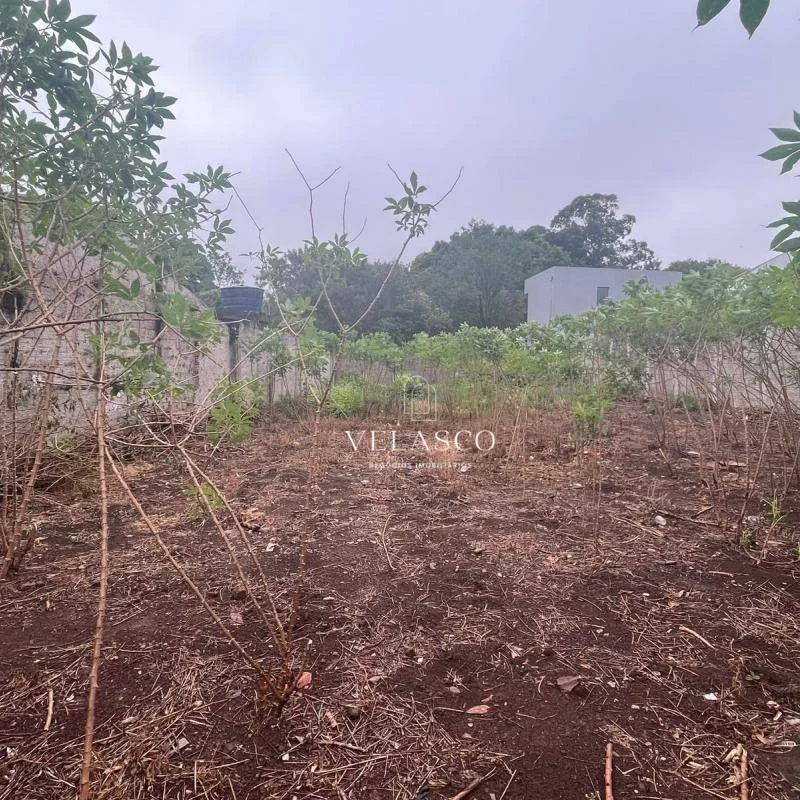 Terreno à venda, 375 m² por R$ 489.000,00 - Centro - Cascavel/PR