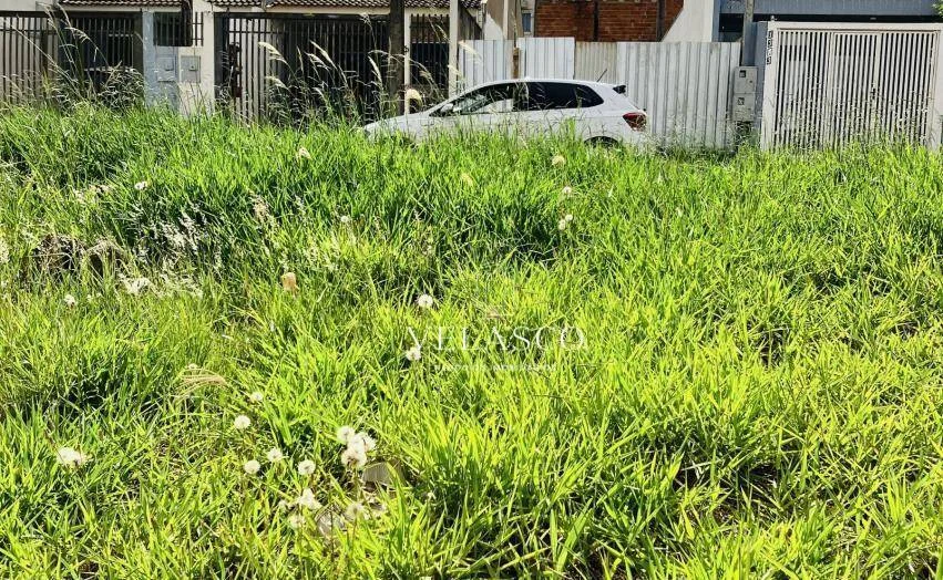 Terreno à venda, 250 m² por R$ 130.000,00 - Floresta - Cascavel/PR