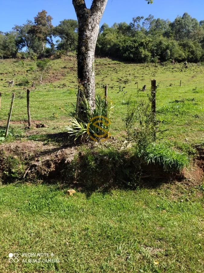 Sítio para Venda em Lindoeste, Centro