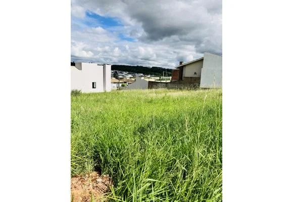 Terreno para Venda em Cascavel, Floresta
