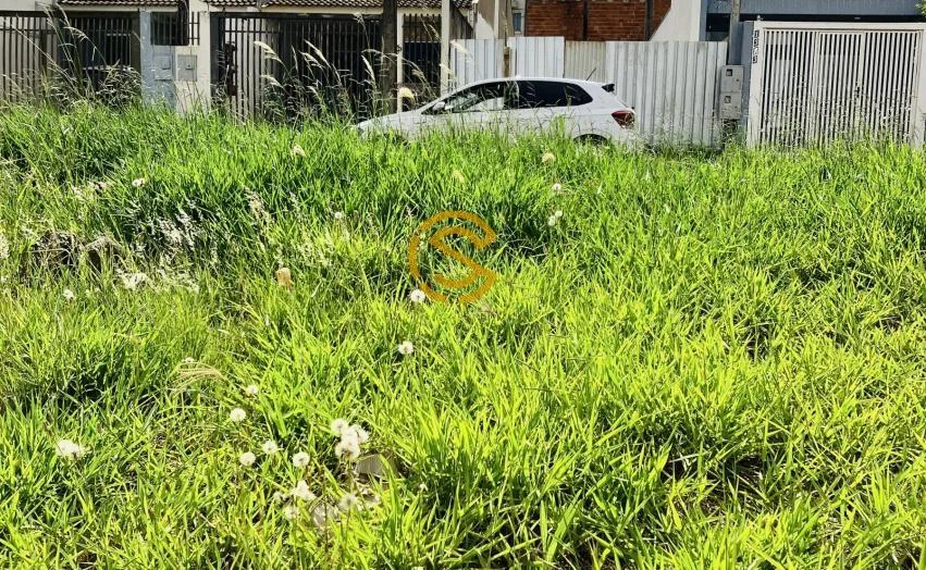 Terreno para Venda em Cascavel, Floresta