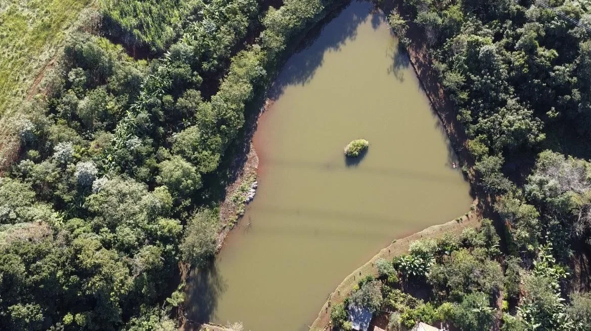 Chácara para Venda em Céu Azul, Colônia São Francisco