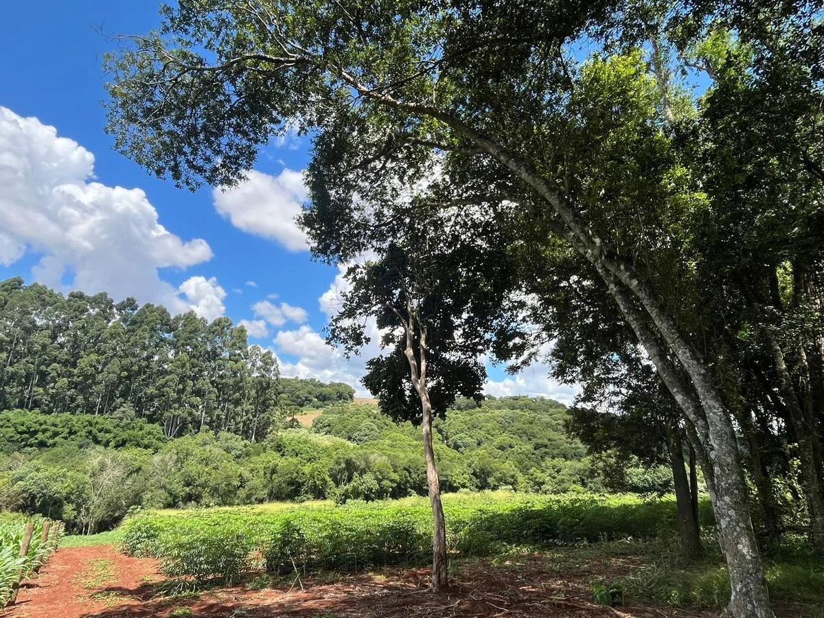 Residencial à Venda - Cascavel