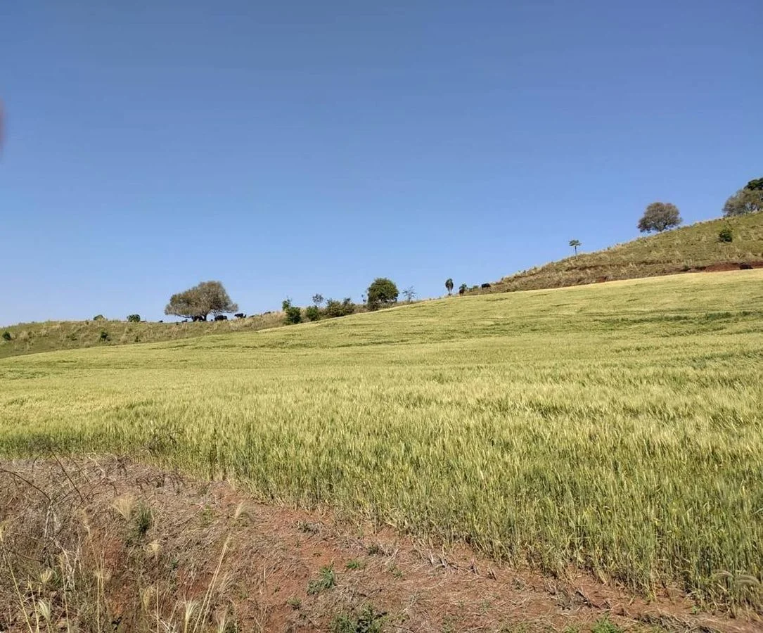 Fazenda à Venda - Catanduvas