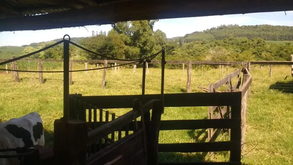 Fazenda à Venda - Catanduvas