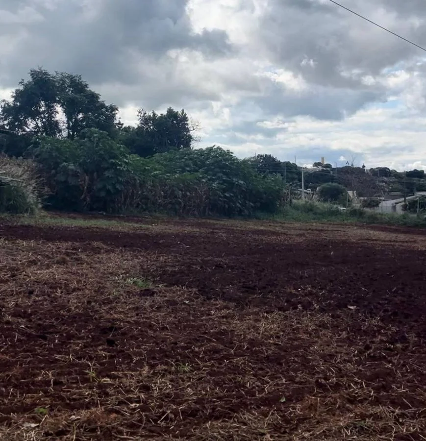 Industrial à Venda, São Cristóvão - Cascavel