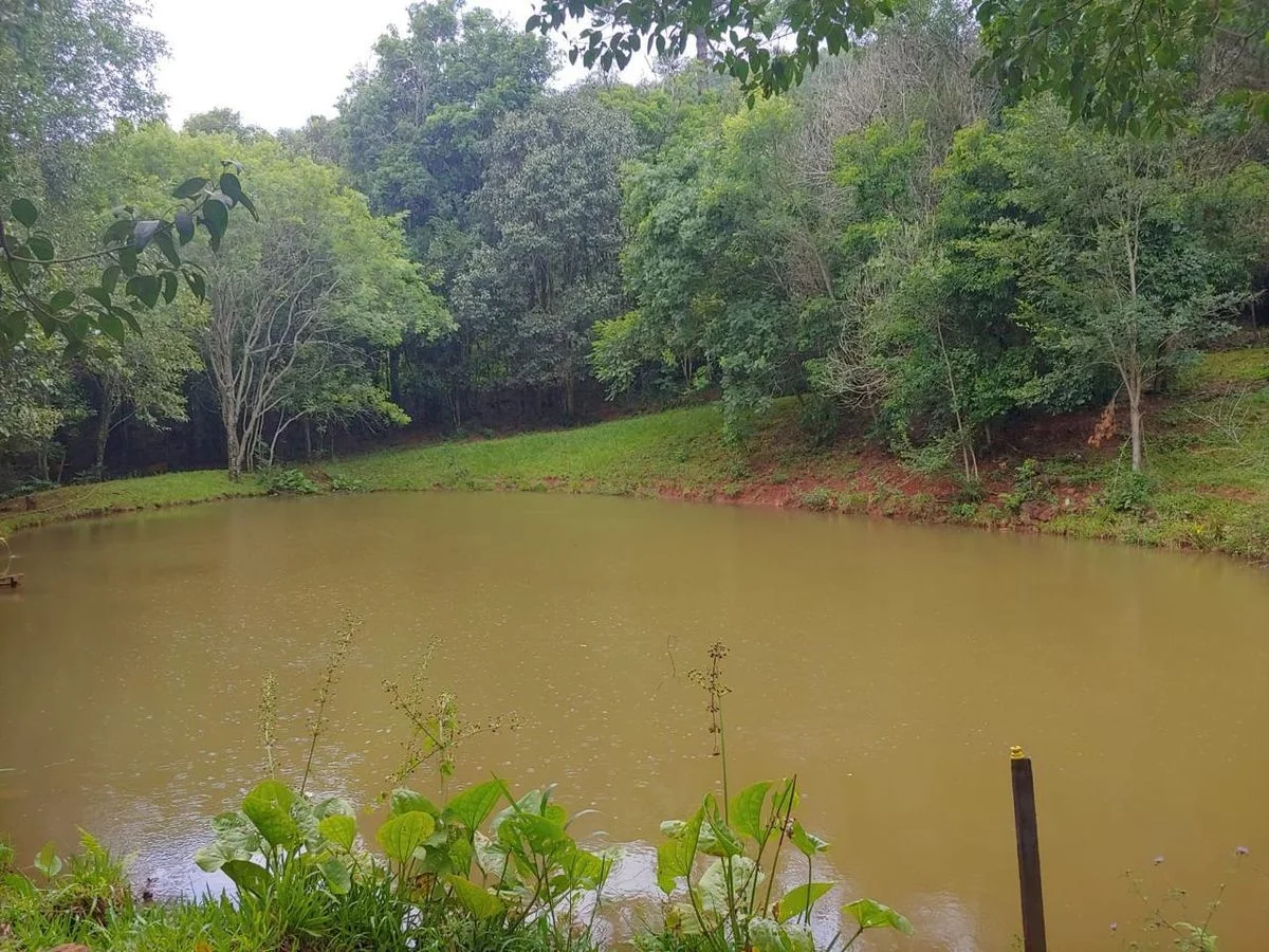 Sítio à Venda - Guaraniaçu