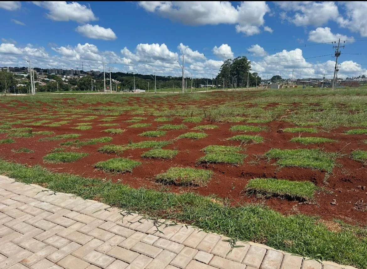 Loteamentos à Venda, Brazmadeira - Cascavel