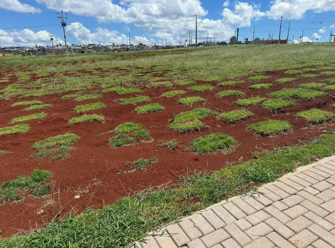 Loteamentos à Venda, Brazmadeira - Cascavel