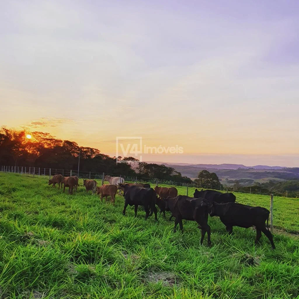 Sítio à venda, Linha São Luiz, RIO DO SALTO - PR