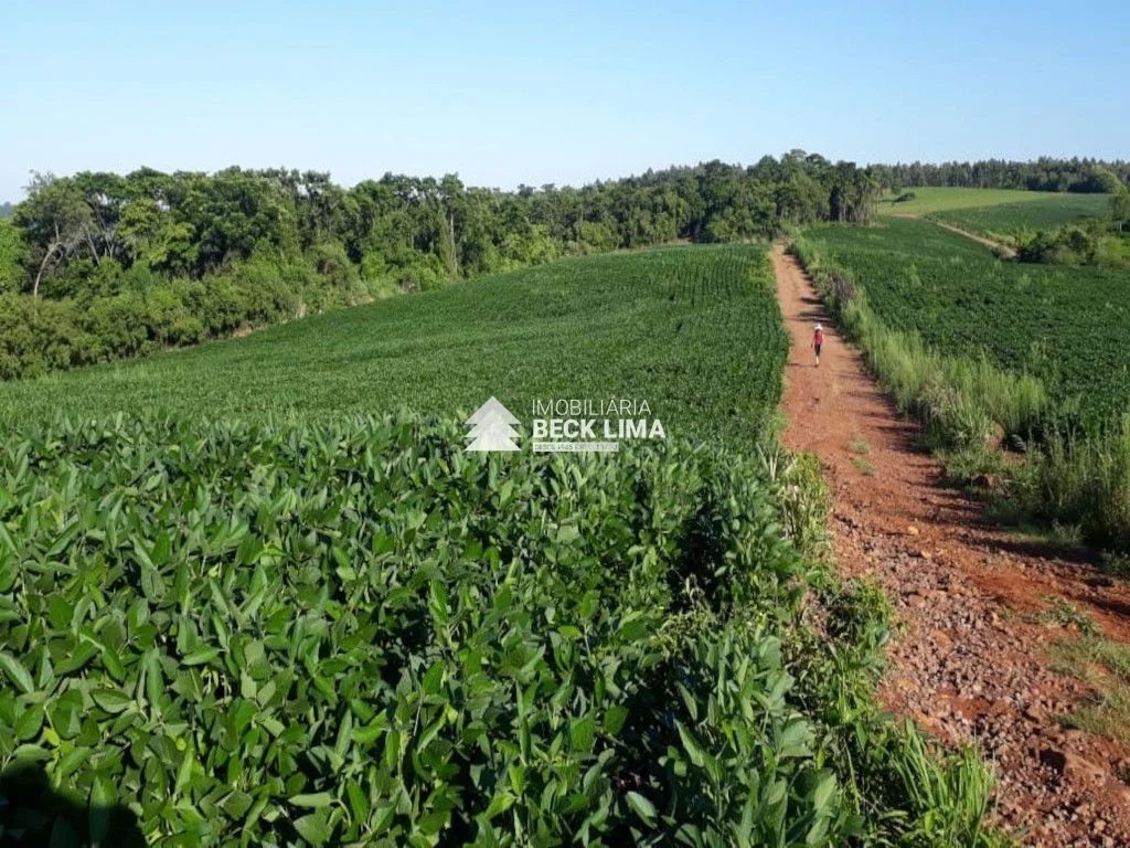 SITIO A VENDA PROXIMO A CAPANEMA