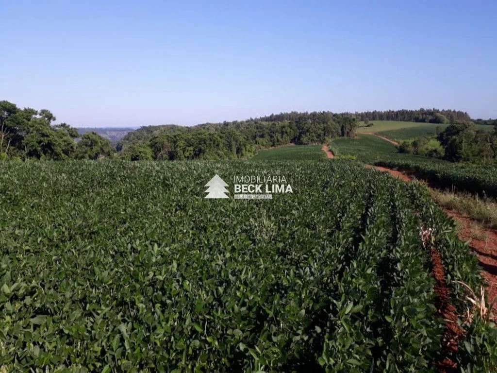 SITIO A VENDA PROXIMO A CAPANEMA
