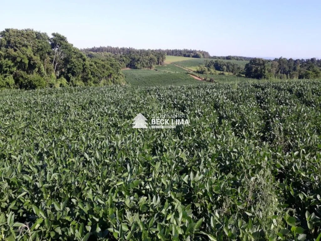 SITIO A VENDA PROXIMO A CAPANEMA