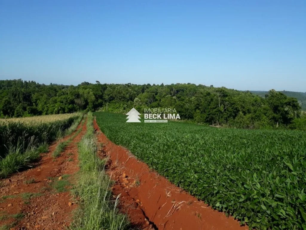 SITIO A VENDA PROXIMO A CAPANEMA