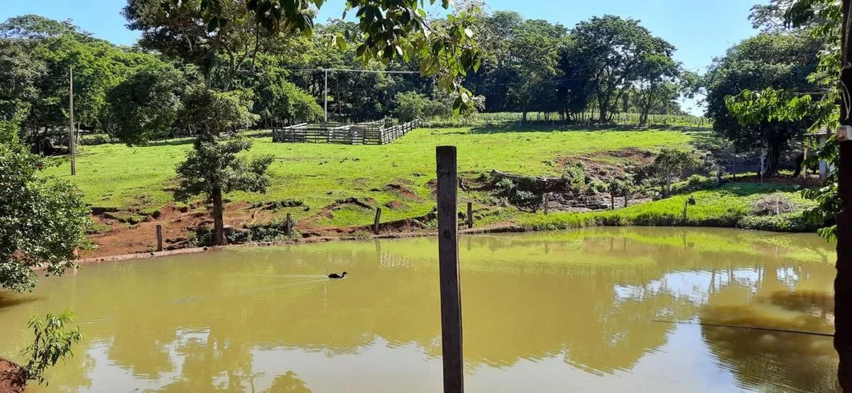 Sítio à Venda - Marechal Cândido Rondon