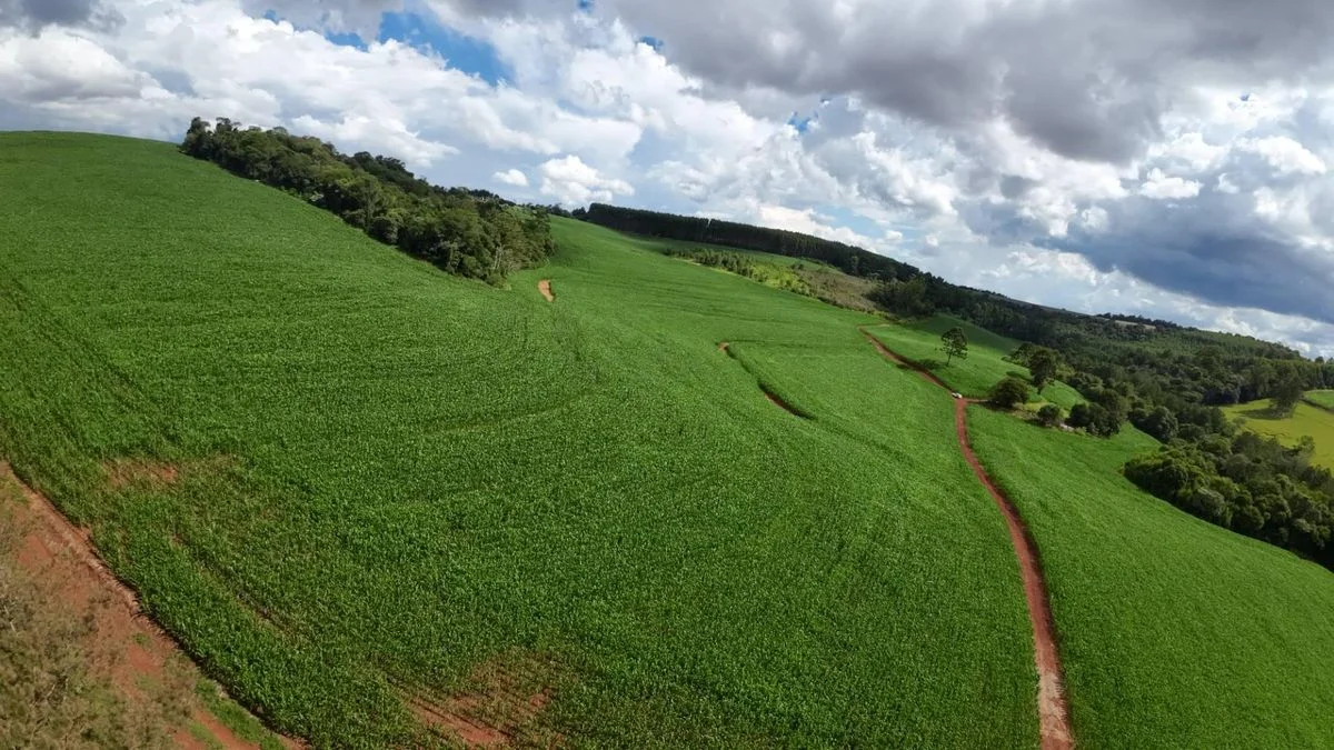 Sítio à Venda - Cascavel