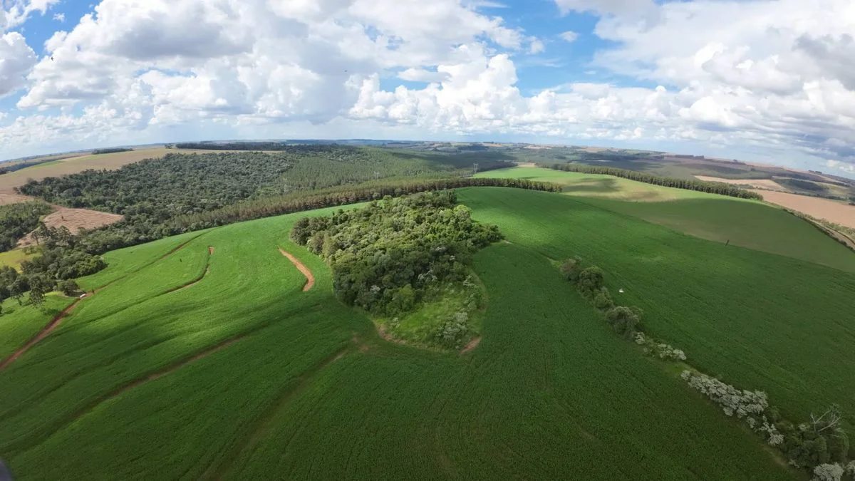Sítio à Venda - Cascavel