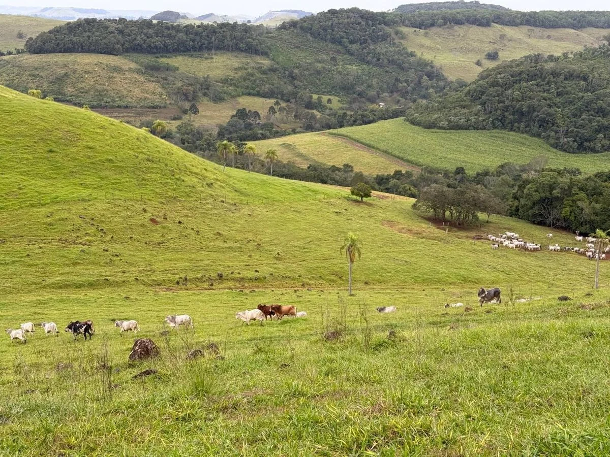 Fazenda à Venda, Vila Industrial - Laranjeiras do Sul