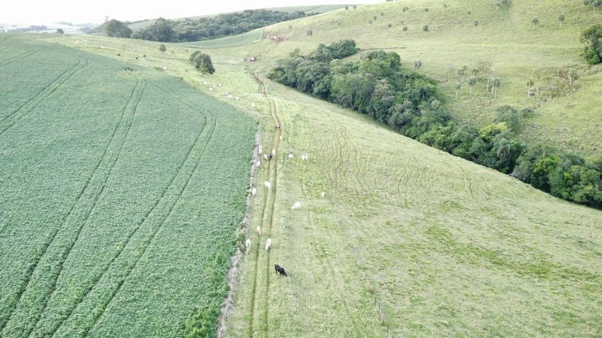 Fazenda à Venda, Vila Industrial - Laranjeiras do Sul