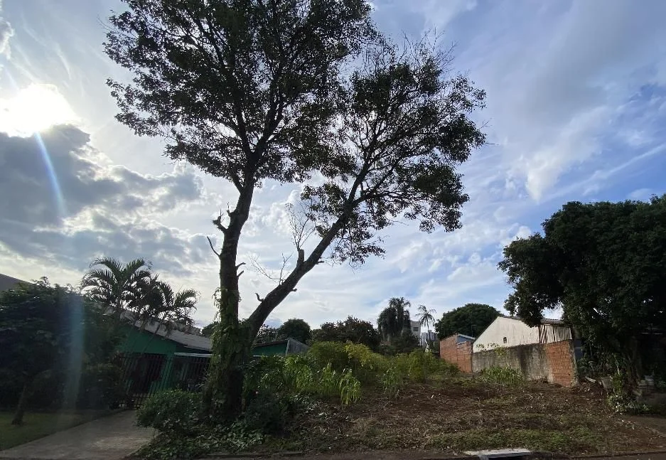 Residencial à Venda, Canadá - Cascavel